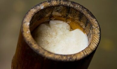 масло от чаено дърво за лечение на брадавици